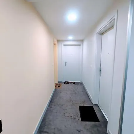 Citycosy Wacken Urban Nest